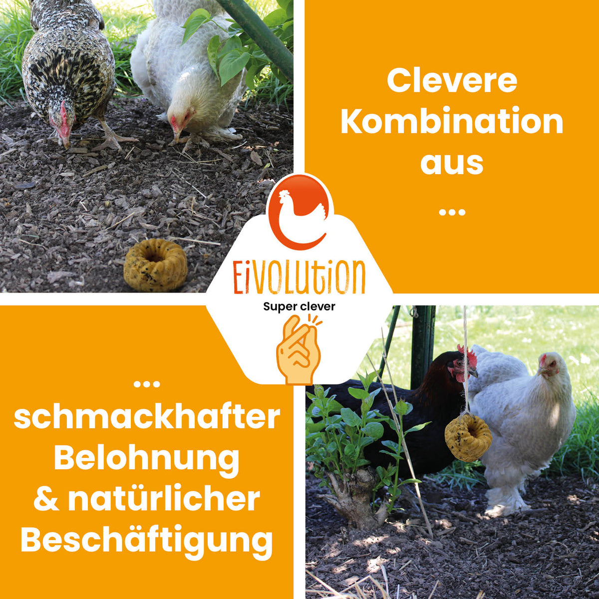 PowerPick Küchlein "Clevere Kombination aus schmackhafter Belohnung &amp; natürlicher Beschäftigung" 