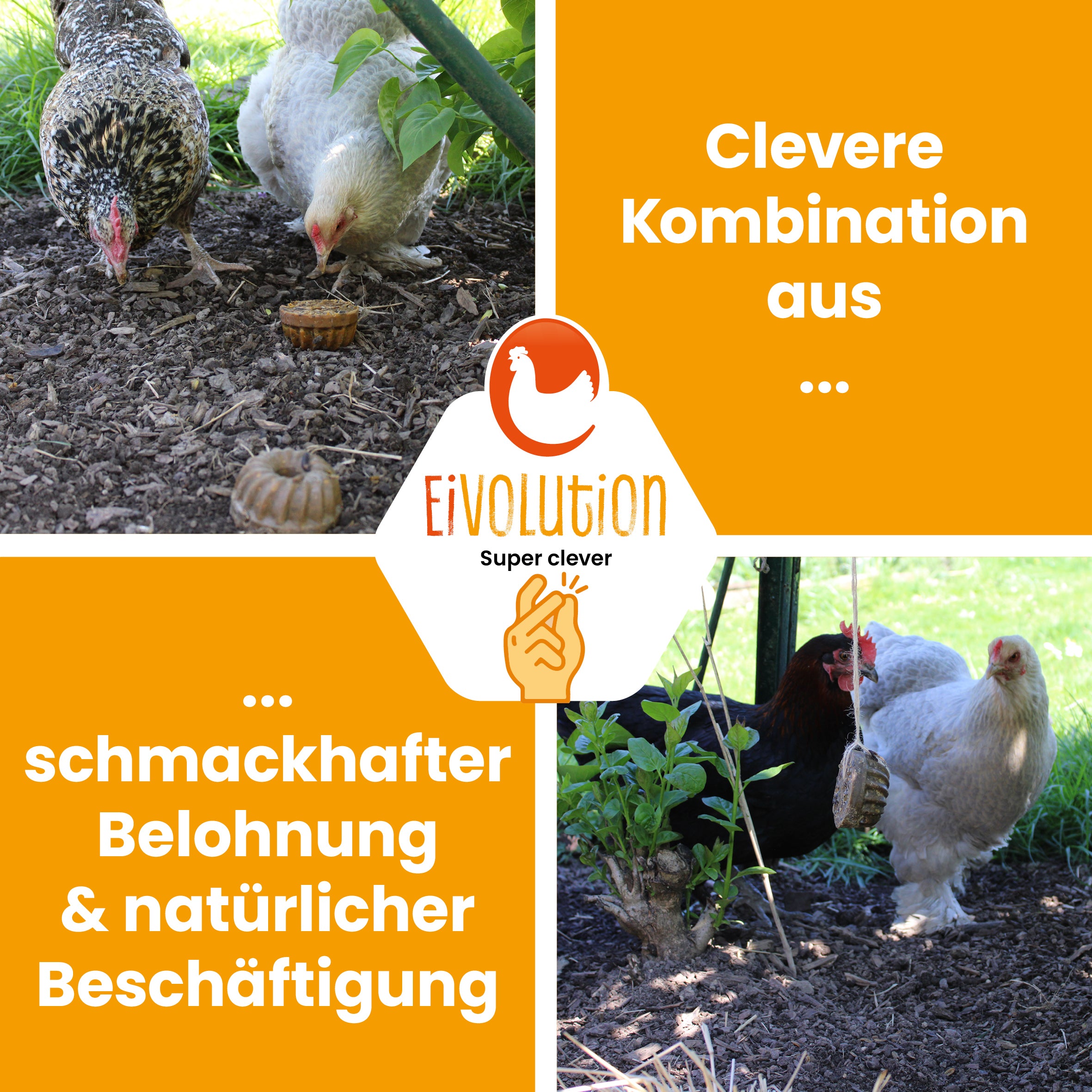 PowerPick Küchlein – Hühnersnack zur sinnvollen Beschäftigung