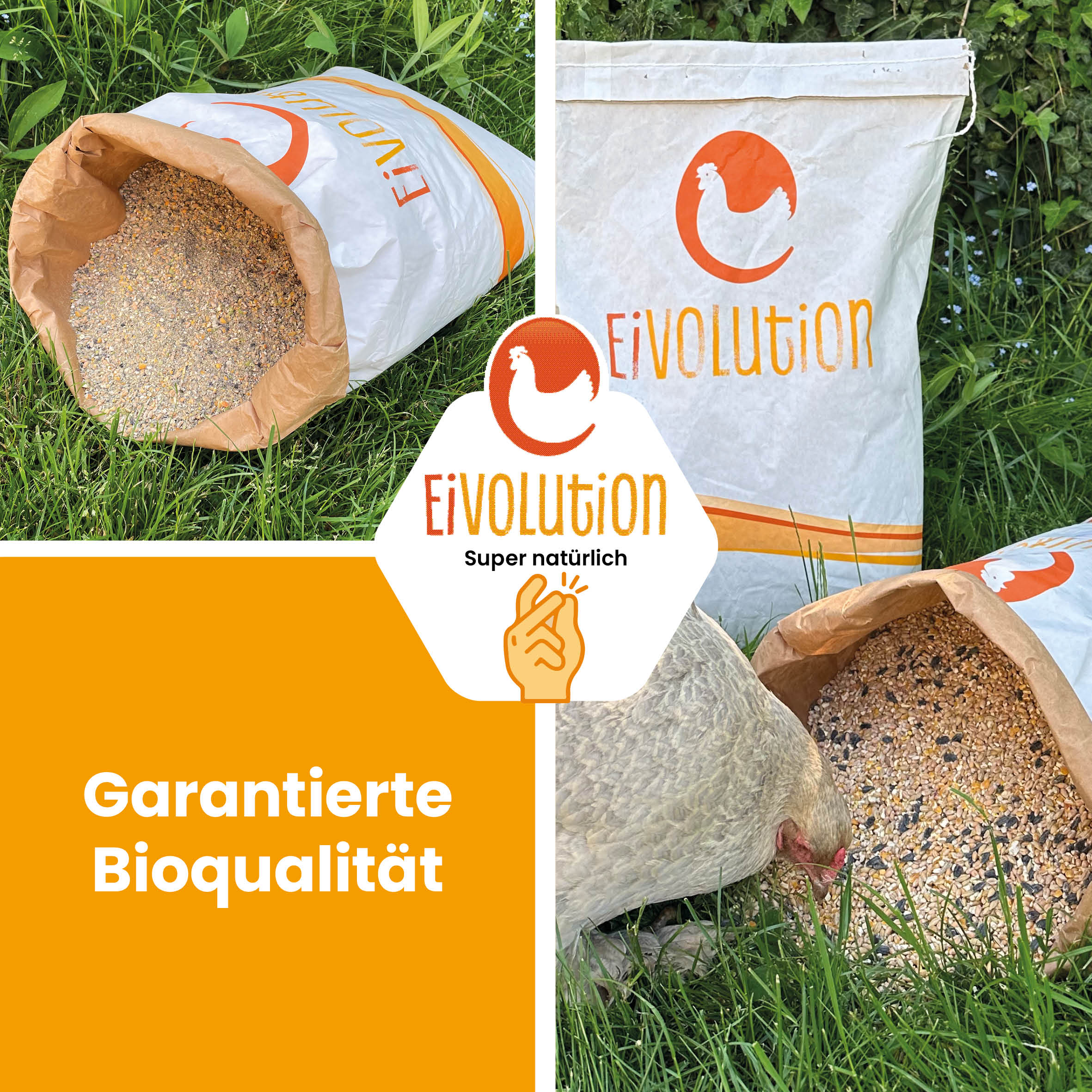 Premium Bio-Körnermischung "Garantierte Bioqualität" 