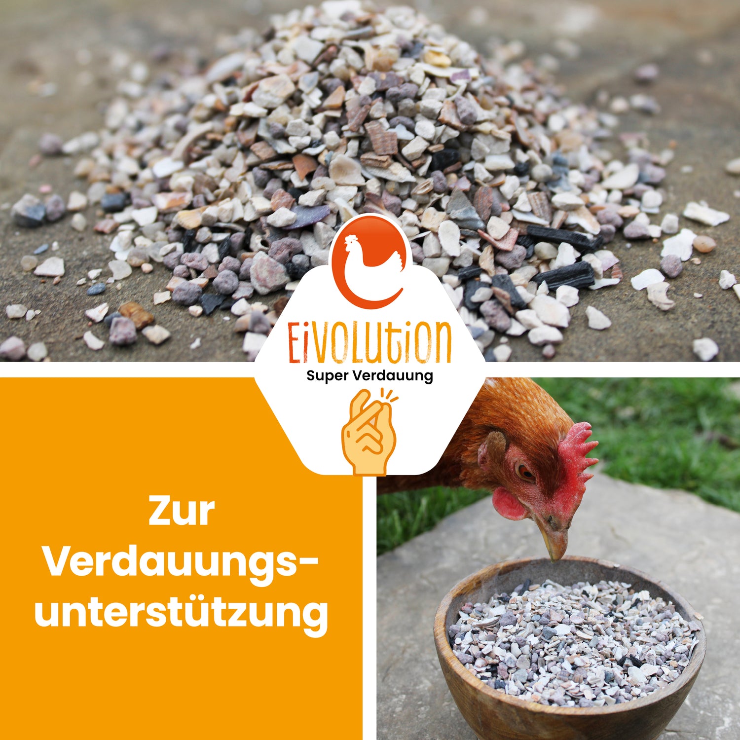 Premium Muschelgrit-Mix mit Anis "Zur Verdauungsunterstützung" 