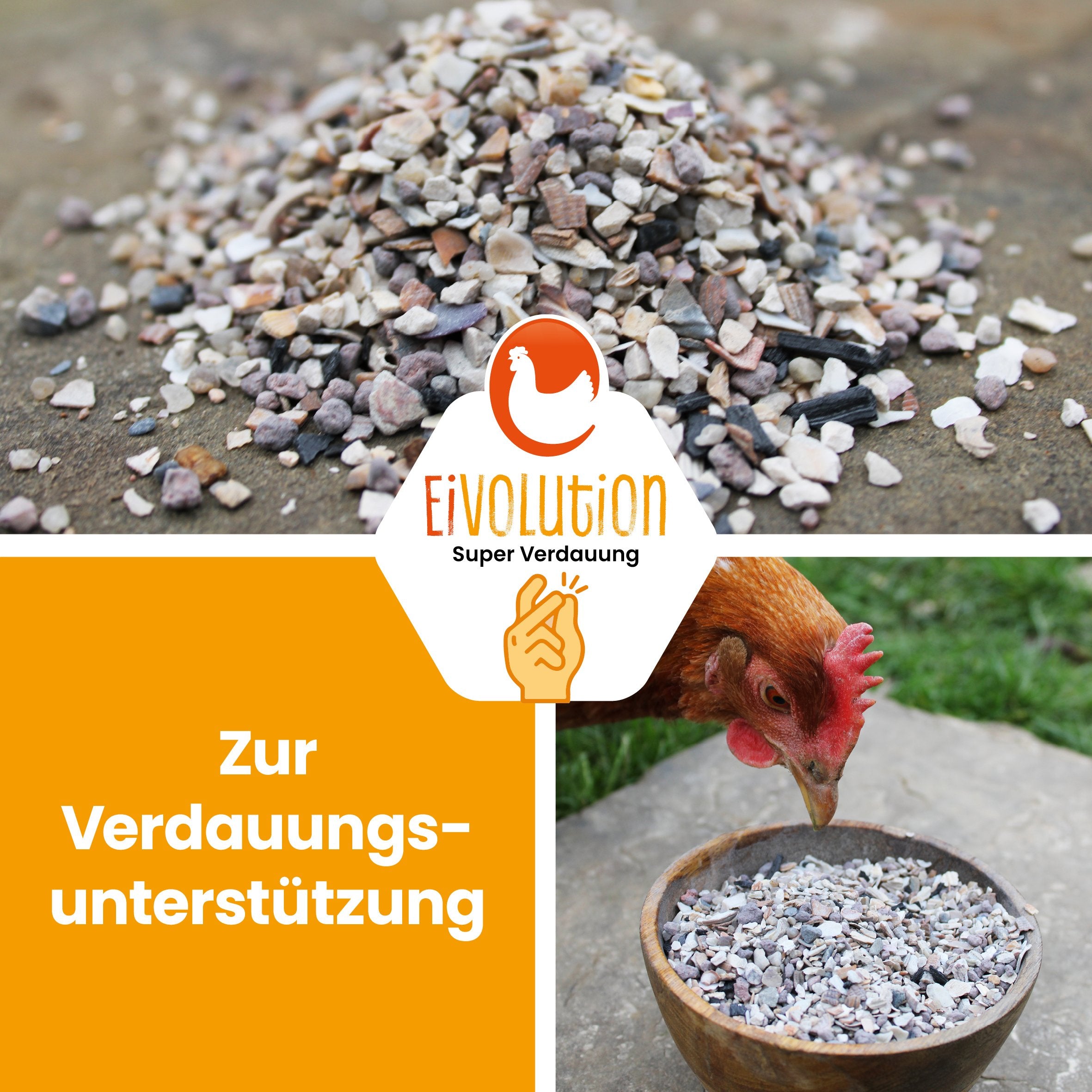 Premium-Muschelgrit-Mix "Zur Verdauungsunterstützung" 