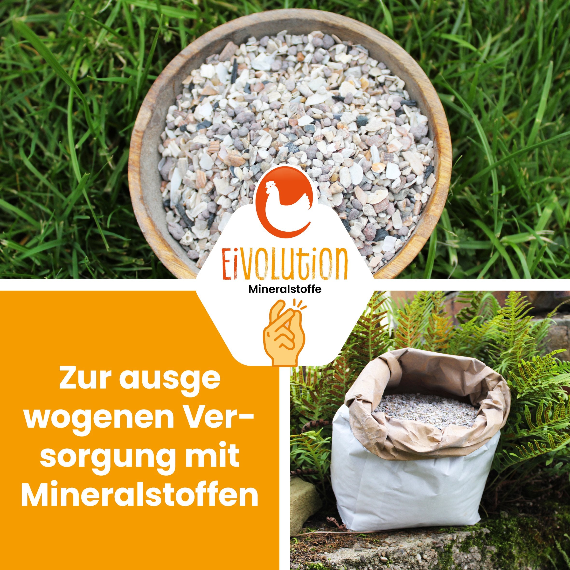 Premium Muschelgrit-Mix "Zur ausgewogenen Versorgung mit Mineralstoffen" 