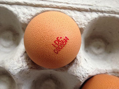 Eierstempel zur Eierkennzeichnung für ein Ei (Einzelstempel Egg-Flex), roter Stempel auf dem Ei 