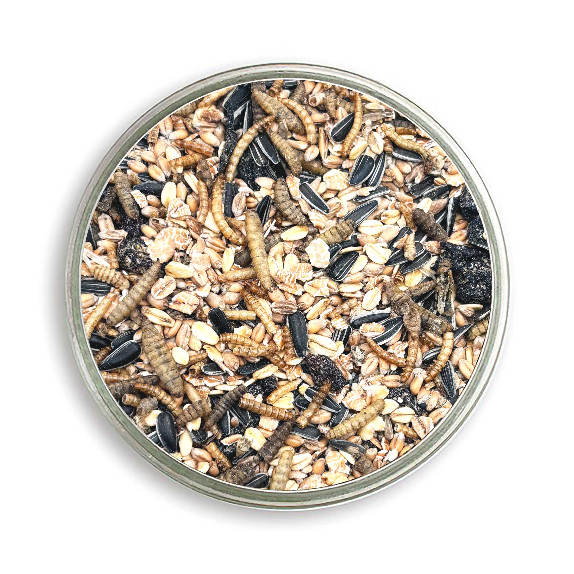 ProteinMüsli, in der Petrischale 