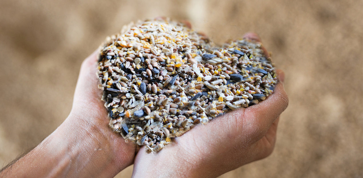 Kategoriebanner Bio-Futter