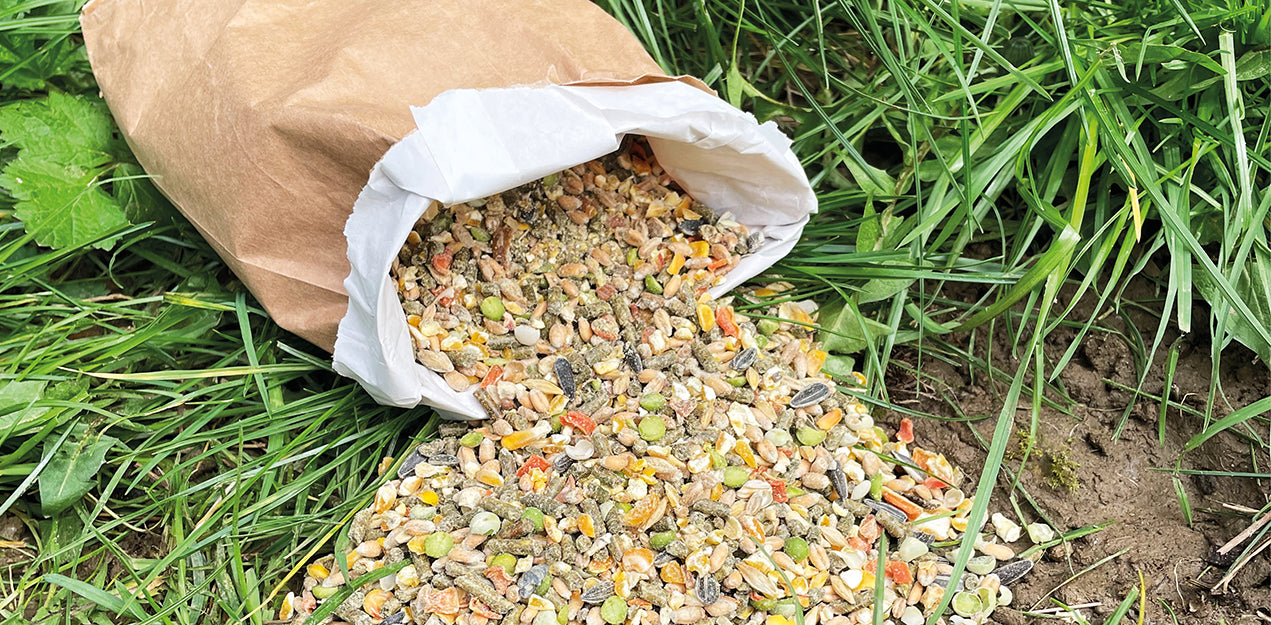 Kategoriebanner konventionelle Futterproben