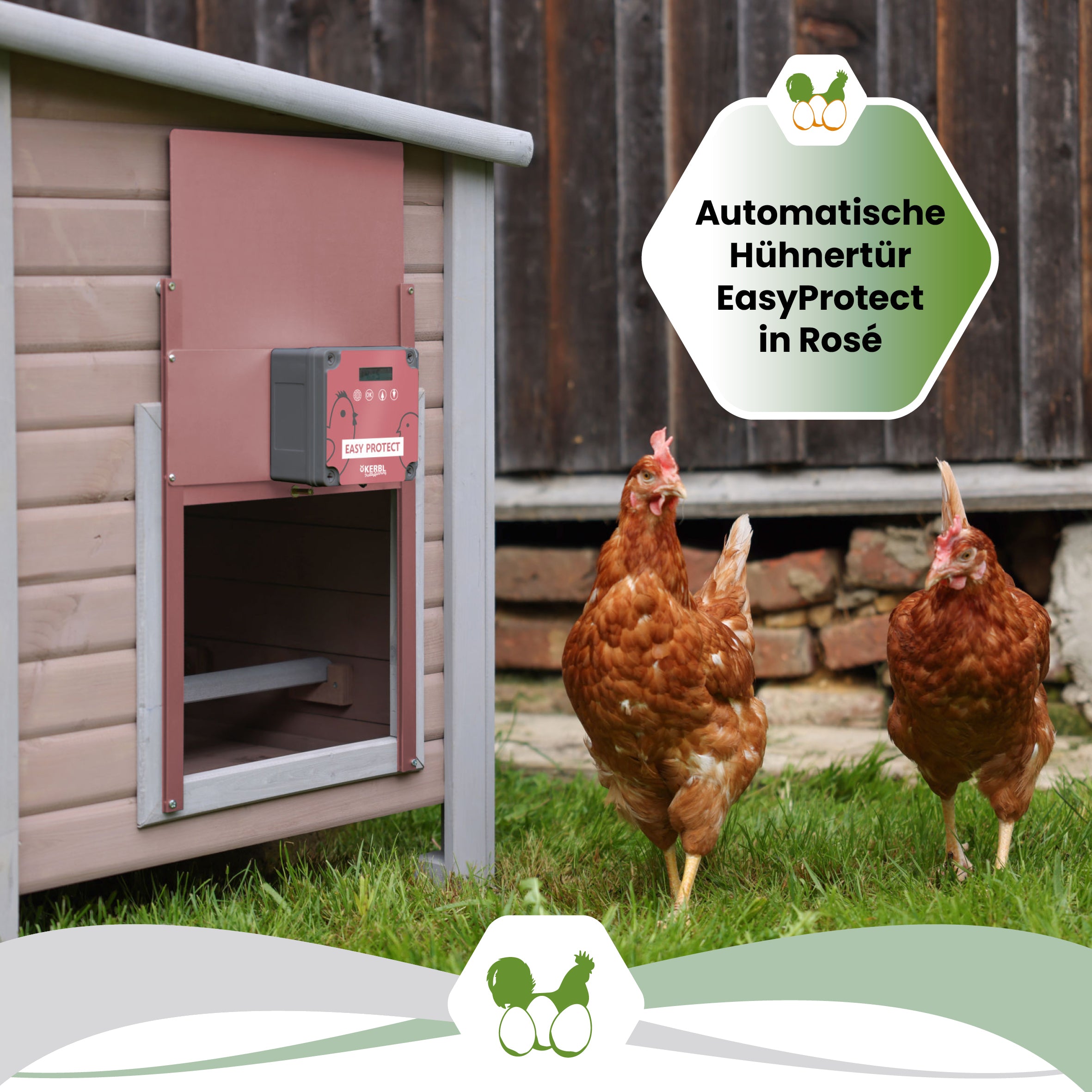 Automatische Hühnertür EasyProtect "Automatische Hühnertür EasyProtect in Rosé"