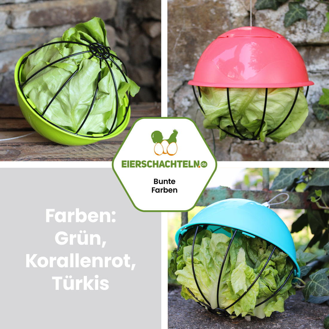 Farbenfroher Futterball / Salatspender "Farben: Grün, Korallenrot, Türkis" 