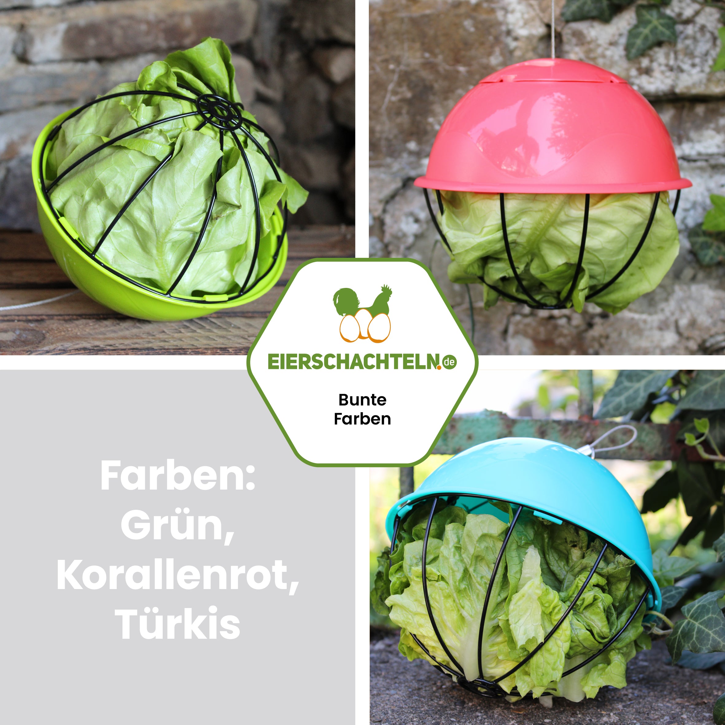 Farbenfroher Futterball / Salatspender "Farben: Grün, Korallenrot, Türkis" 