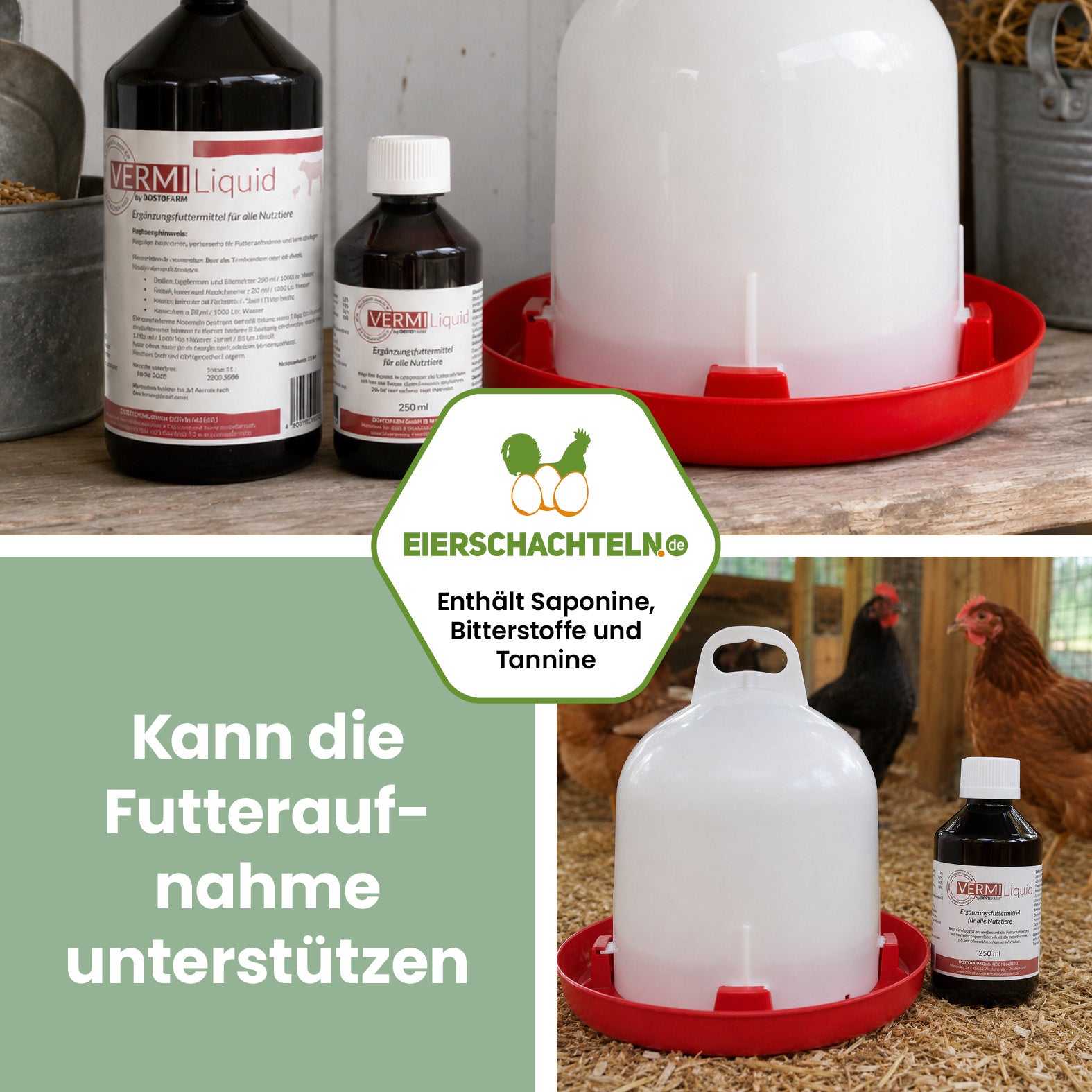 VERMI Liquid – Pflanzliche Ergänzung für ein ausgewogenes Darmmilieu
