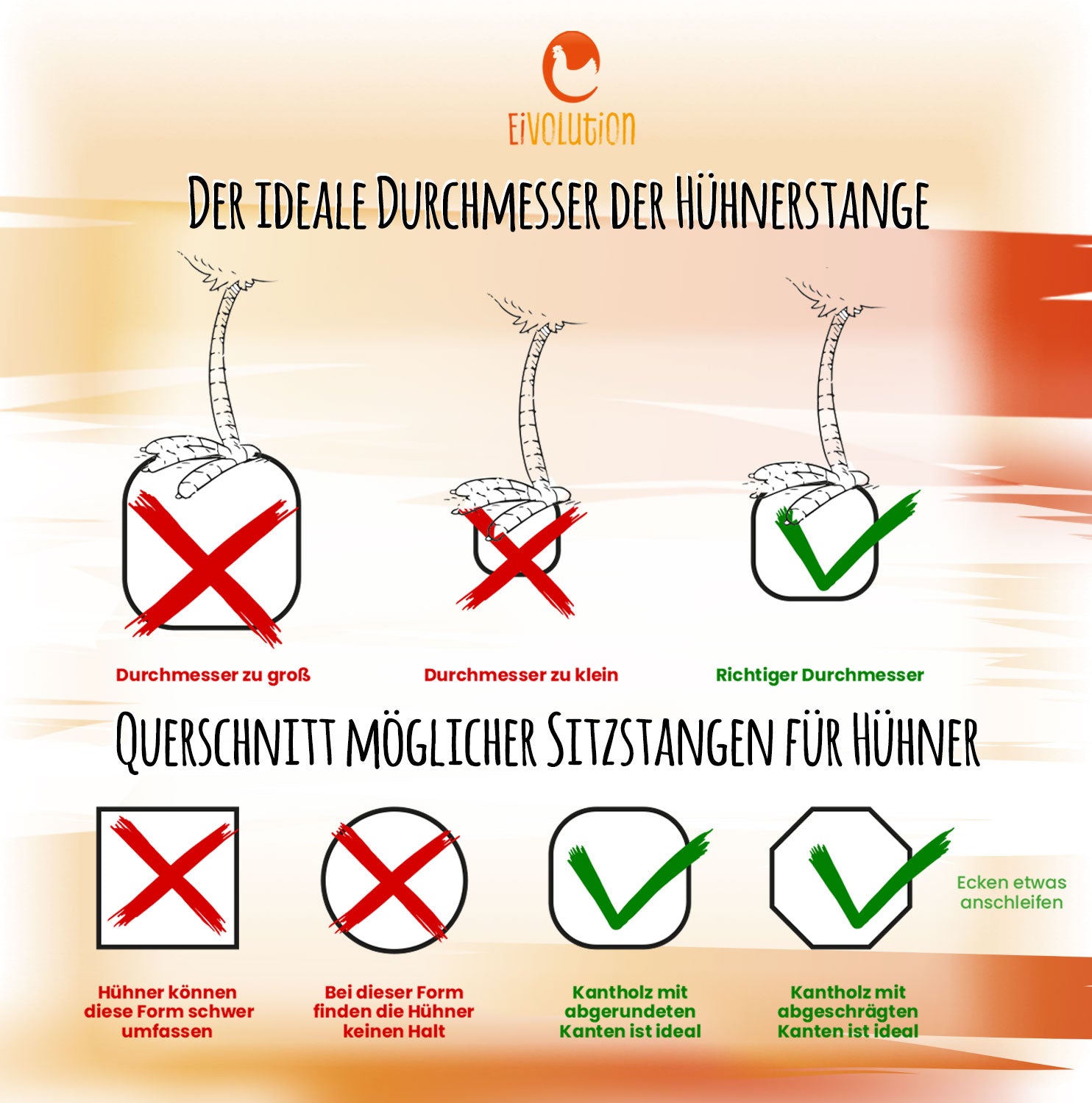 Der ideale Durchmesser der Hühnerstange/ Querschnitt möglicher Sitzstangen für Hühner 