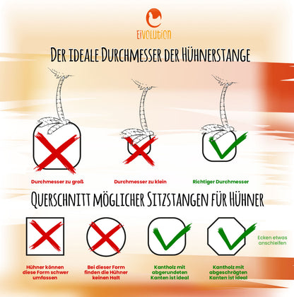 Der ideale Durchmesser der Hühnerstange/ Querschnitt möglicher Sitzstangen für Hühner 