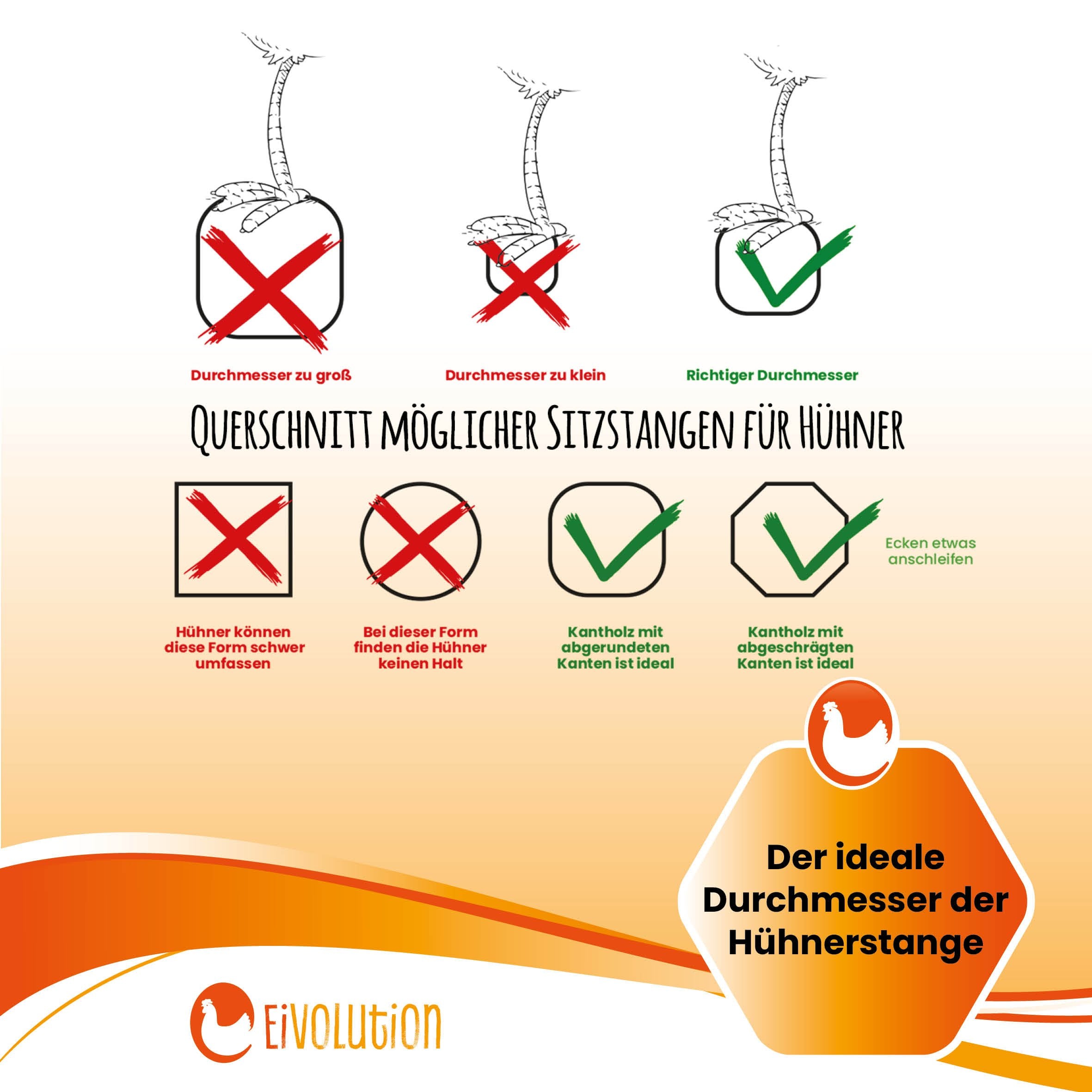 Eivolution Sitzstange "Der ideale Durchmesser der Hühnersitzstange"