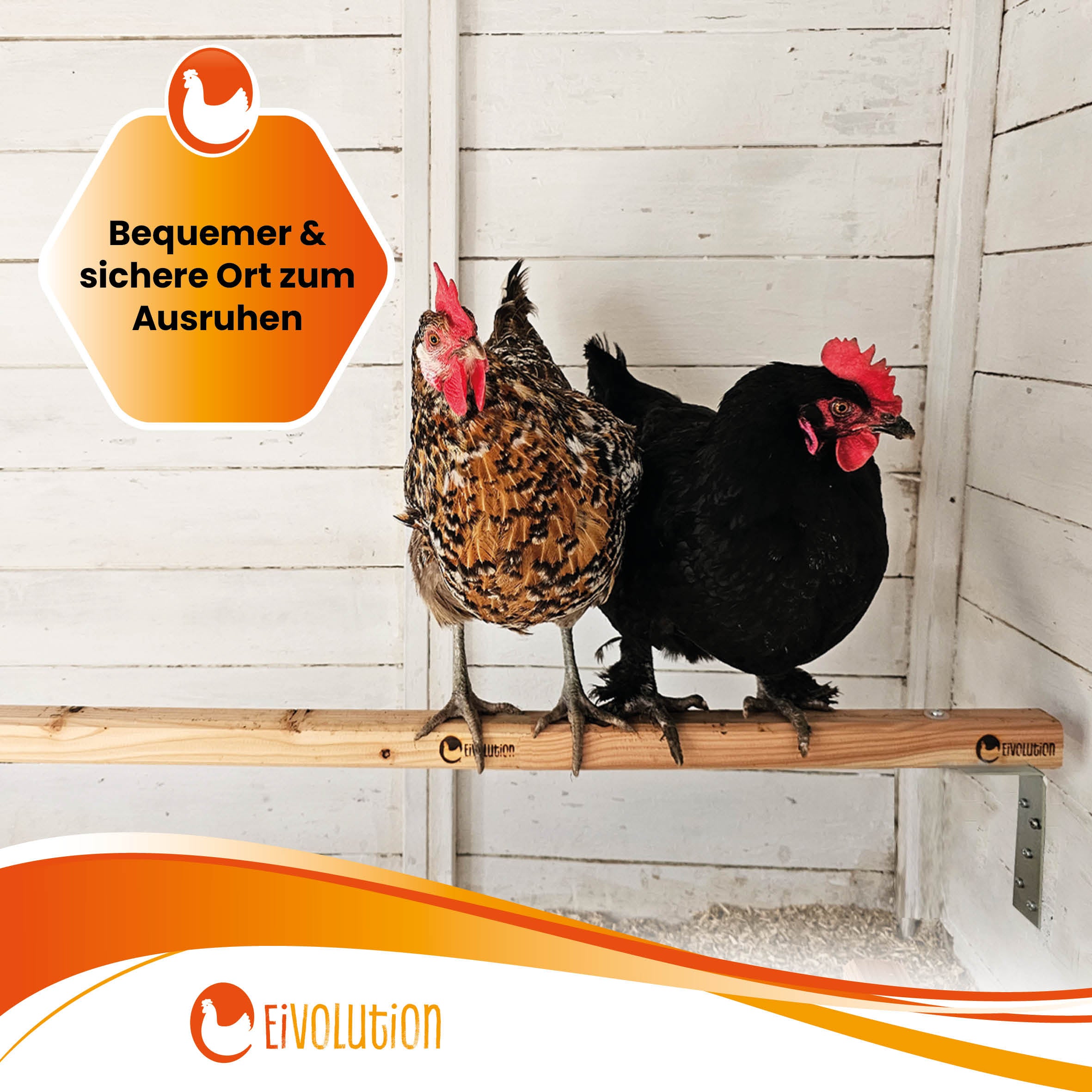 Eivolution Sitzstange "Bequemer &amp; sicherer Ort zum Ausruhen" 