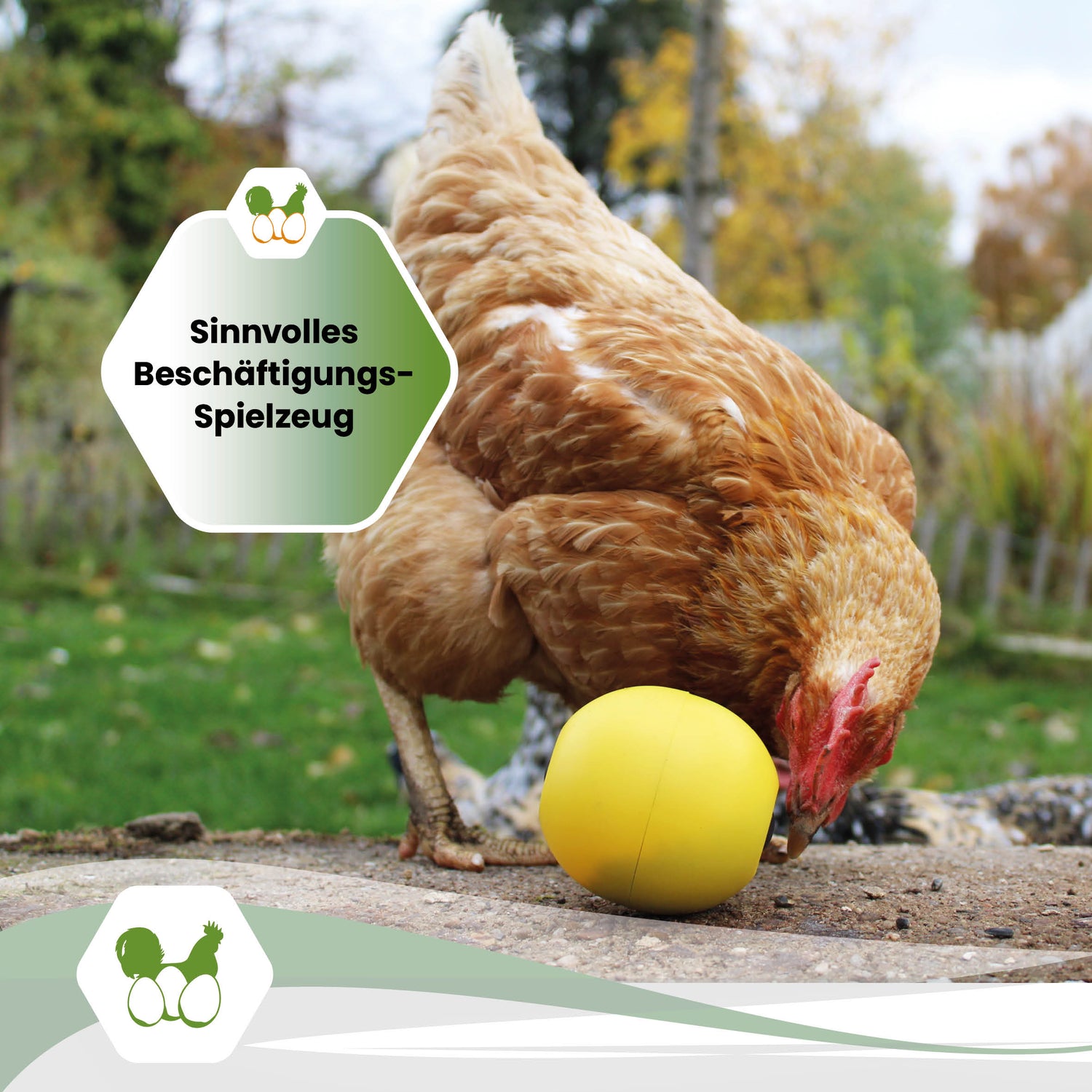 Snackball für Hühner und Puten – Futterball / Beschäftigungsspielzeug