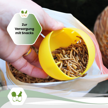 Snackball für Hühner und Puten – Futterball / Beschäftigungsspielzeug