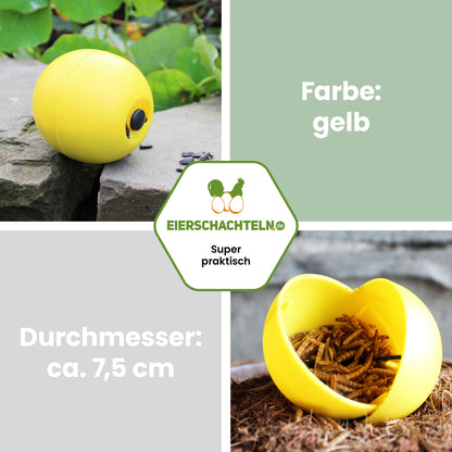 Snackball für Hühner und Puten – Futterball / Beschäftigungsspielzeug
