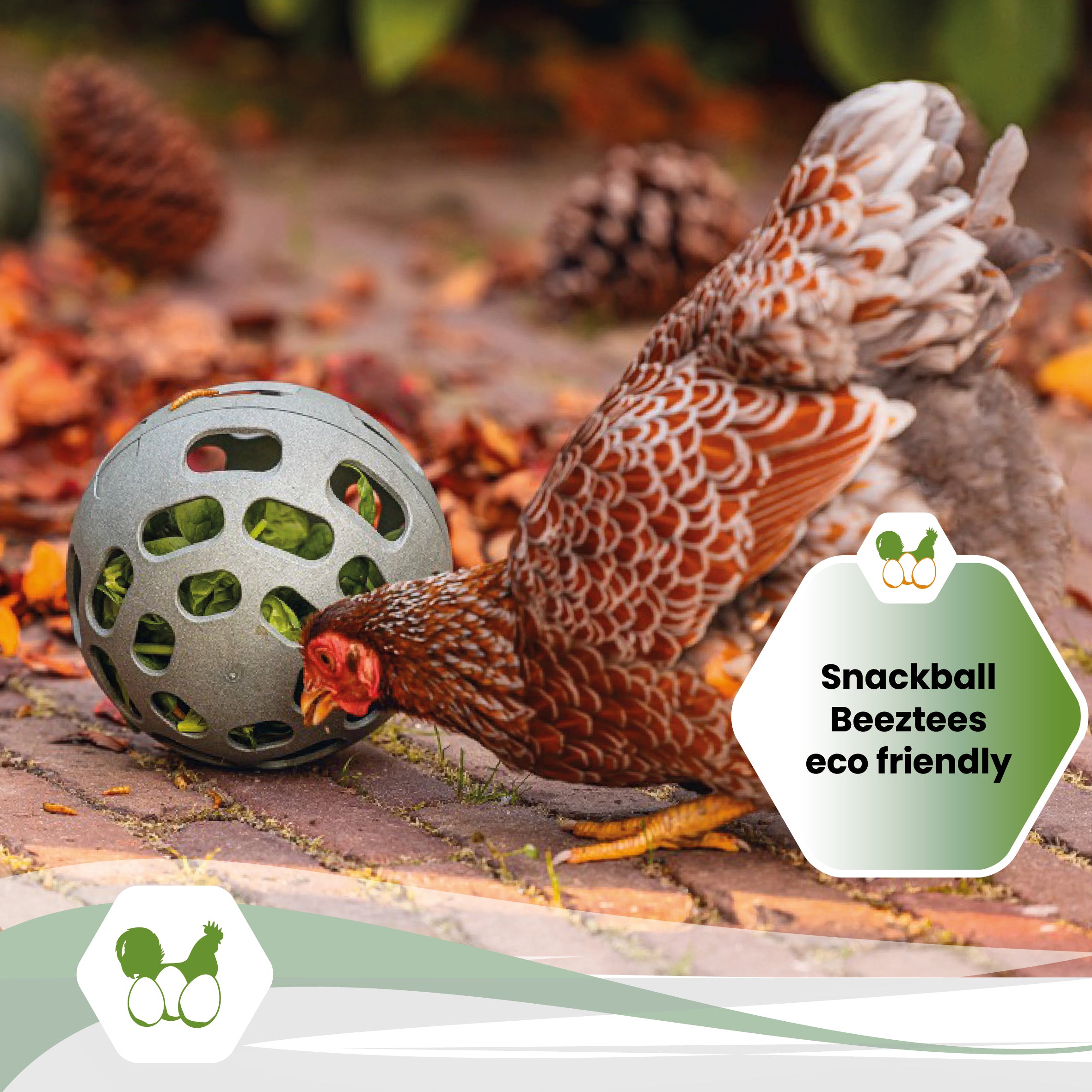 Snackball Beeztees "Snackball Beeztees eco friendly"