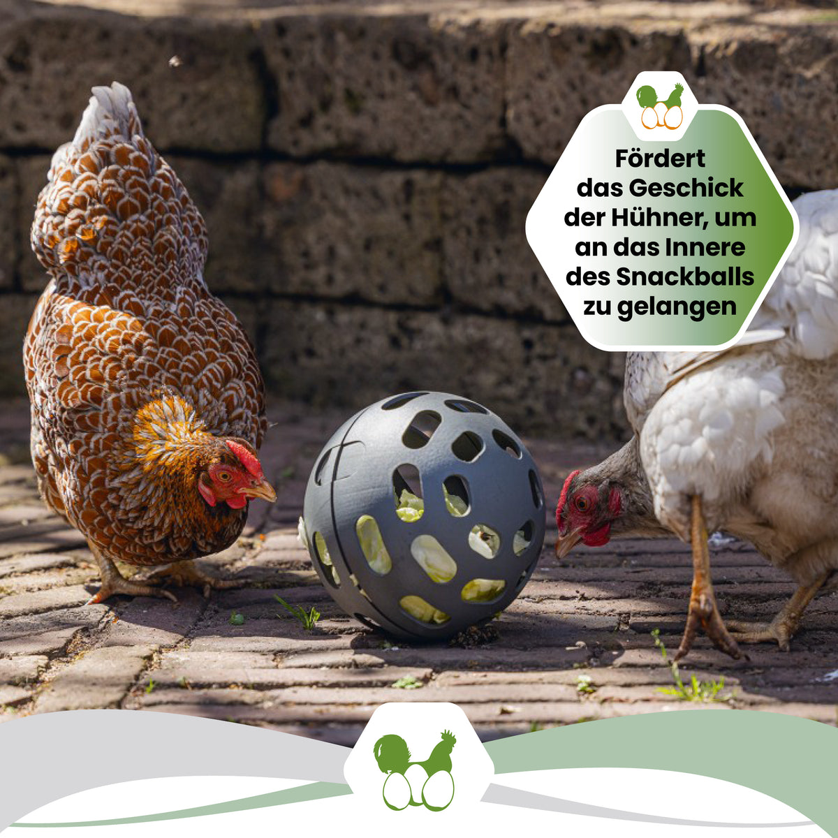 Snackball Beeztees "Fördert das Geschick, um das Innere des Snackballs zu gelangen"