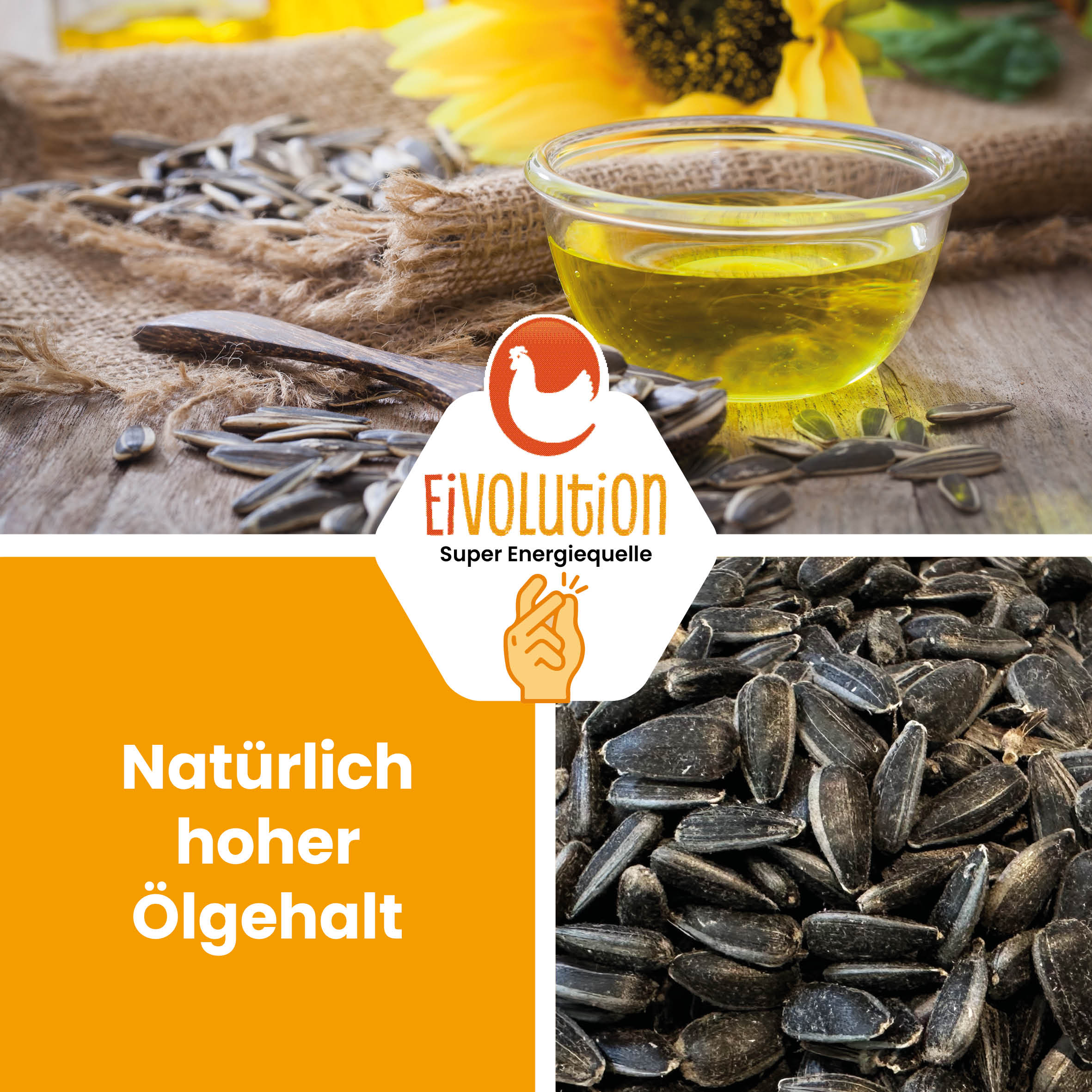 Bio-Sonnenblumenkerne " Natürlich hoher Ölgehalt" 