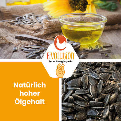 Bio-Sonnenblumenkerne " Natürlich hoher Ölgehalt" 