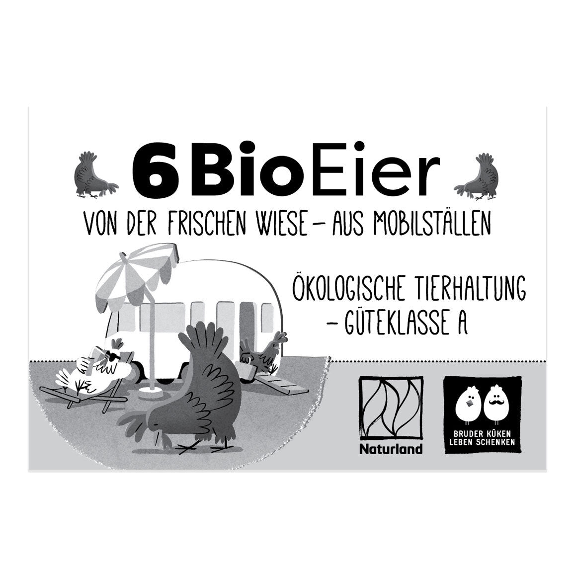 6 Bio Eier Naturland "Von der frischen Wiese - aus Mobilställen", "ökologische Tierhaltung - Güteklasse A" 