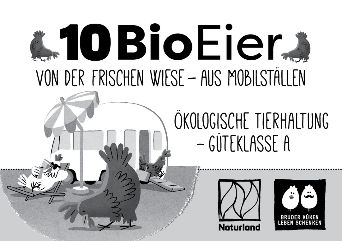 10 Bio Eier Naturland "Von der frischen Wiese - aus Mobilställen", "ökologische Tierhaltung - Güteklasse A" 
