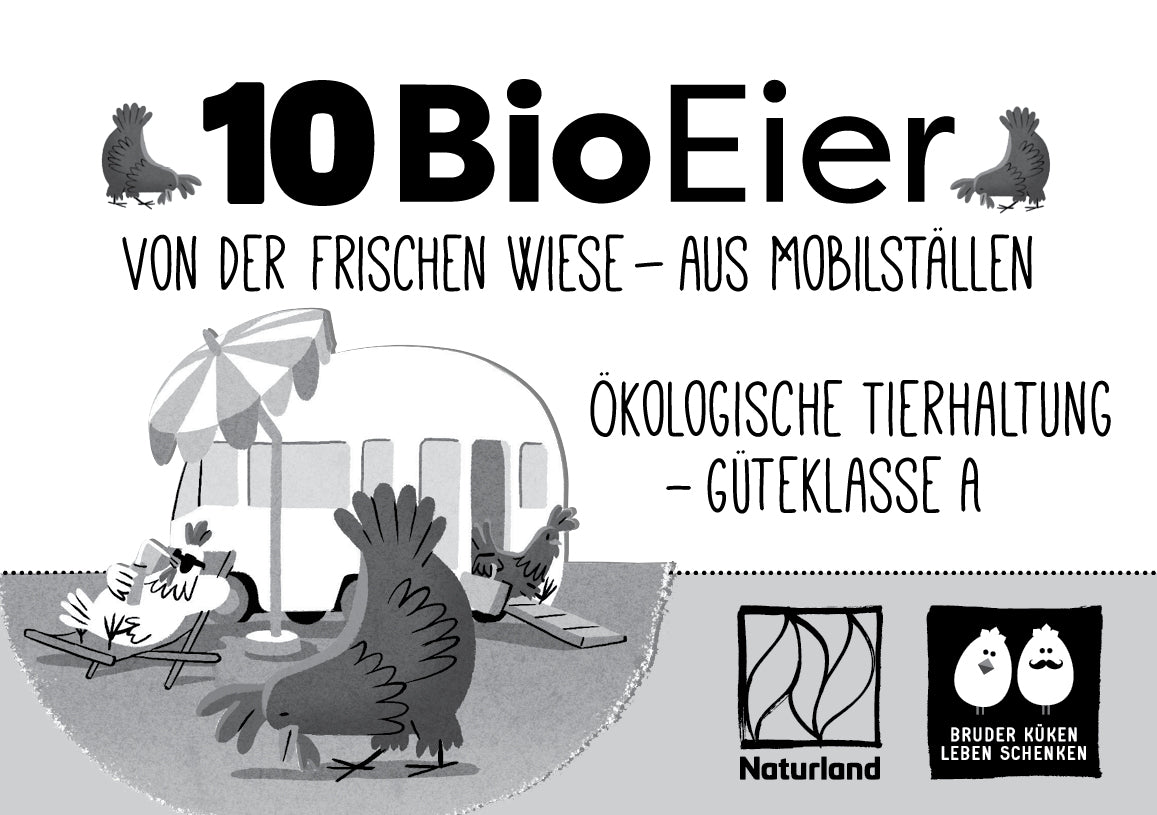 10 Bio Eier Naturland "Von der frischen Wiese - aus Mobilställen", "ökologische Tierhaltung - Güteklasse A" 