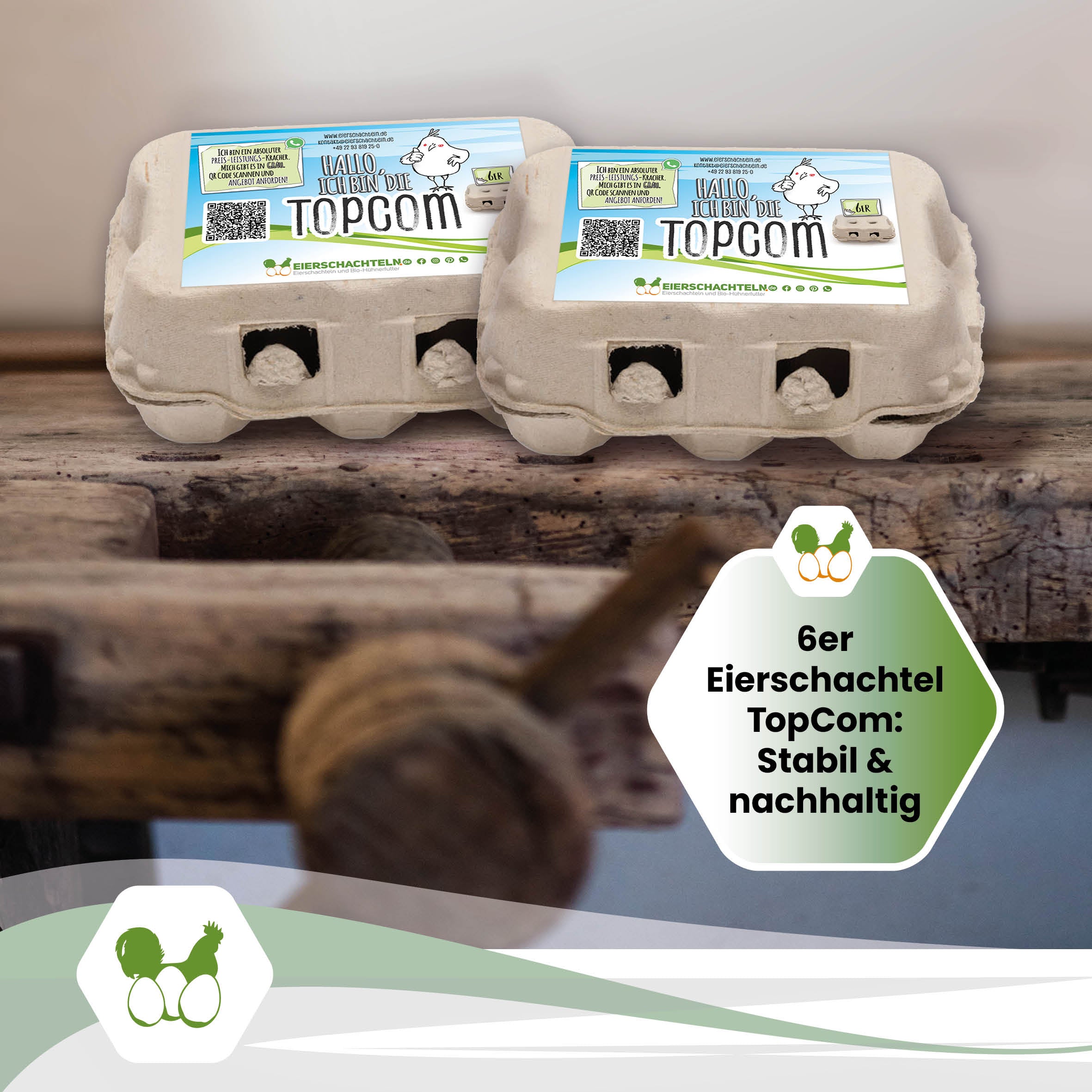 6er Eierverpackungen TopCom "6er Eierschachtel TopCom: Stabil &amp; nachhaltig"
