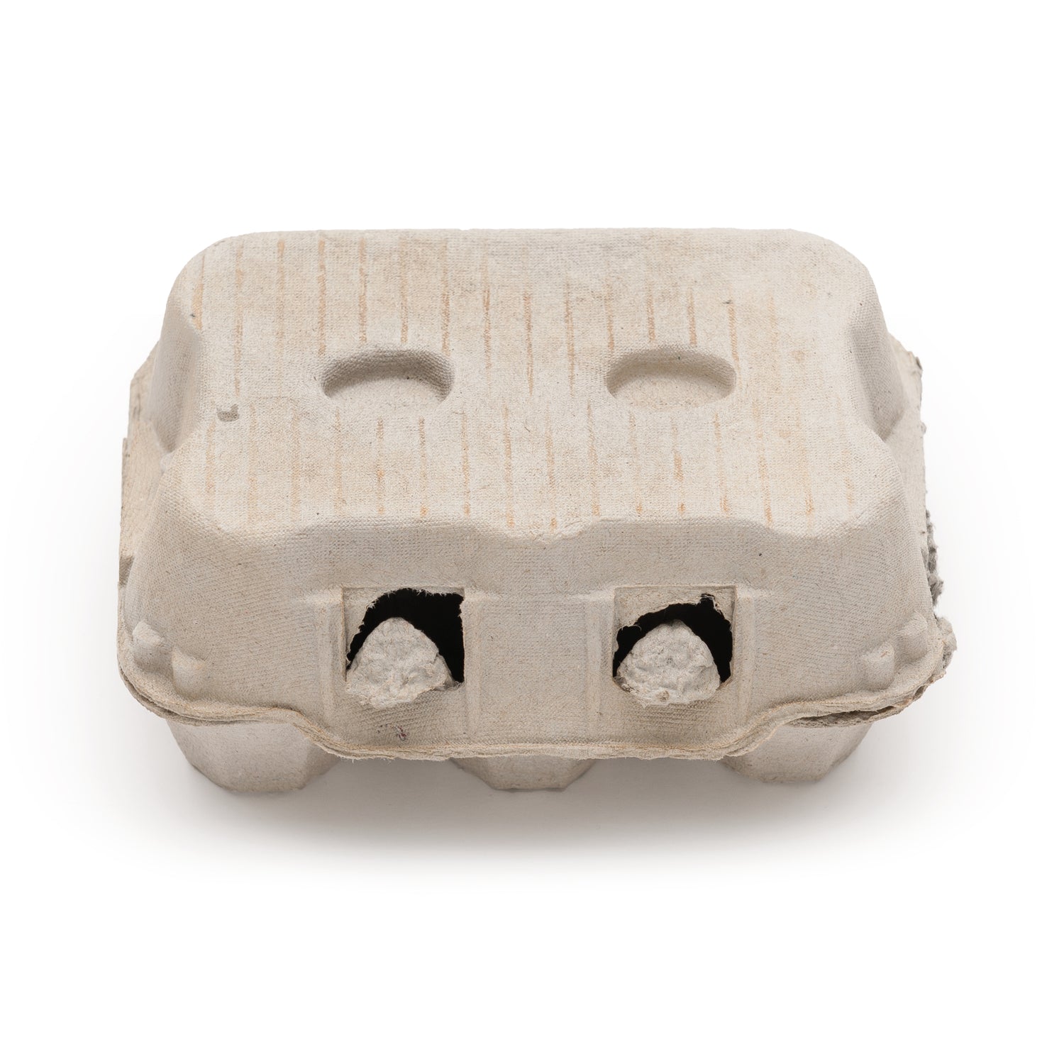 6er Eierschachtel TopCom neutral