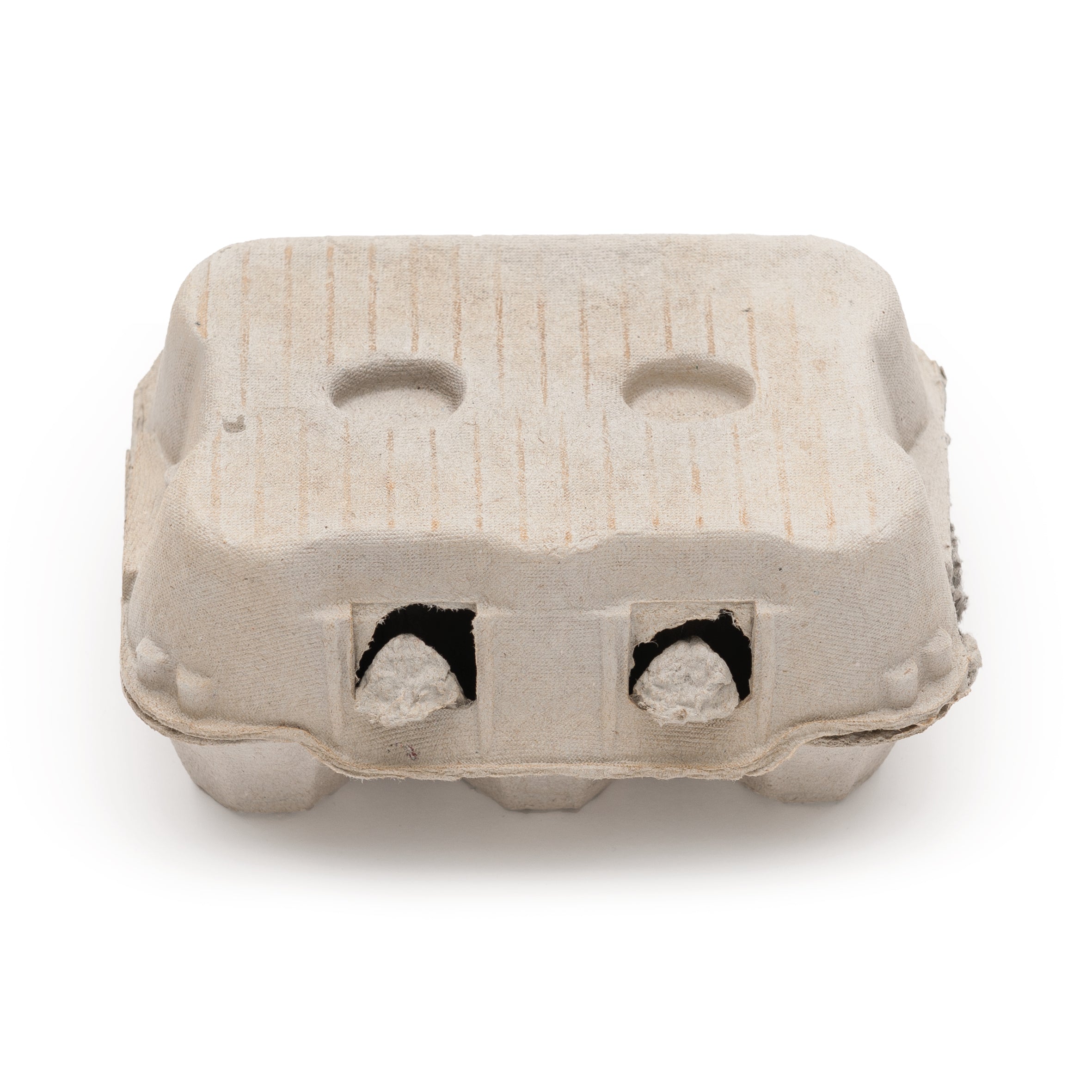 6er Eierschachtel TopCom neutral
