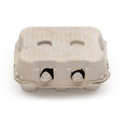 6er Eierschachtel TopCom neutral