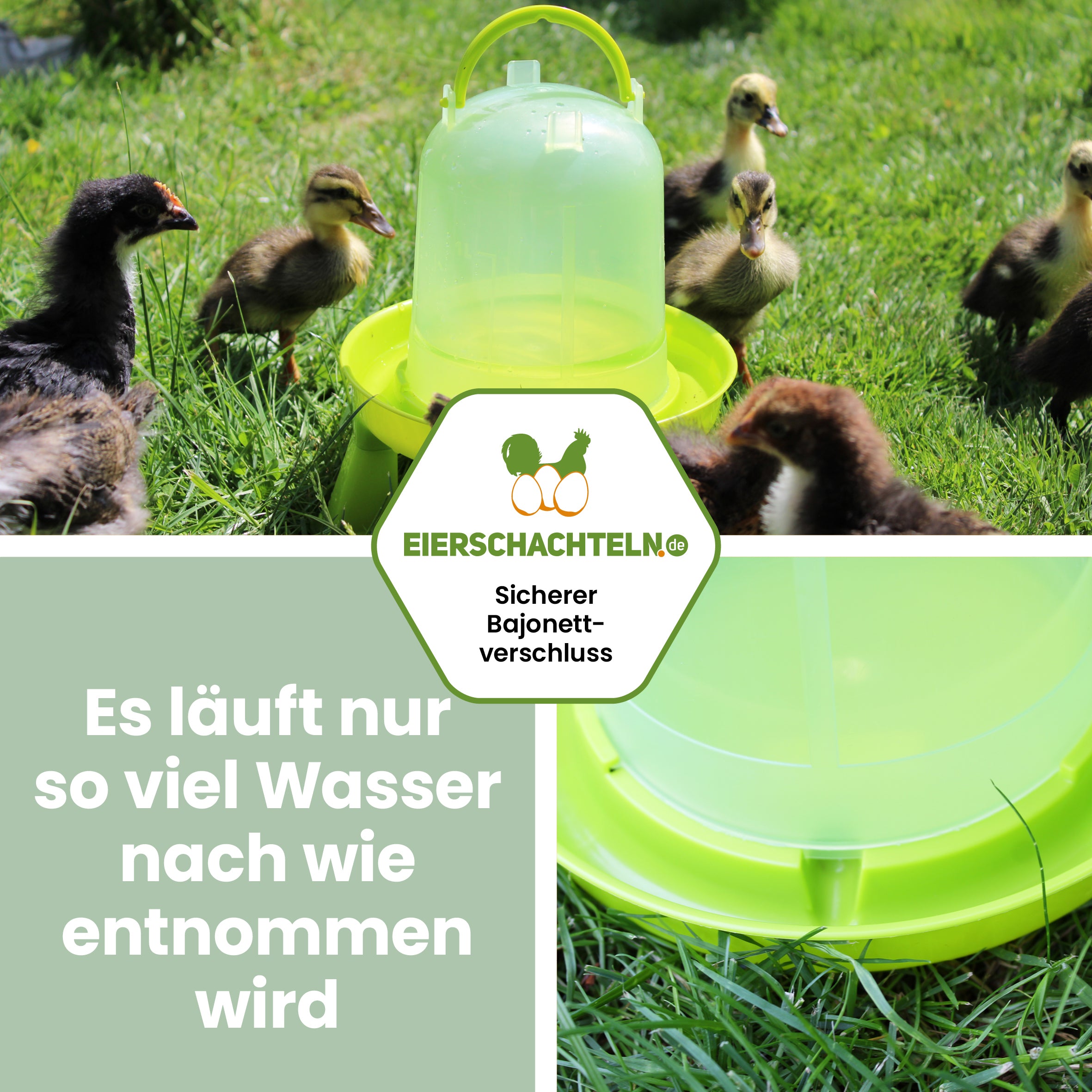 Kleine Geflügeltränke mit Bajonettverschluss mit Füßen 1,5 l oder 3 l "Es Läuft nur so viel Wasser nach wie entnommen wird" 