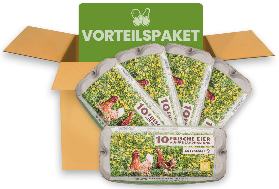 390 Stück 10er ComPac Eierschachteln mit Freiland-Etikett – Vorteilspaket