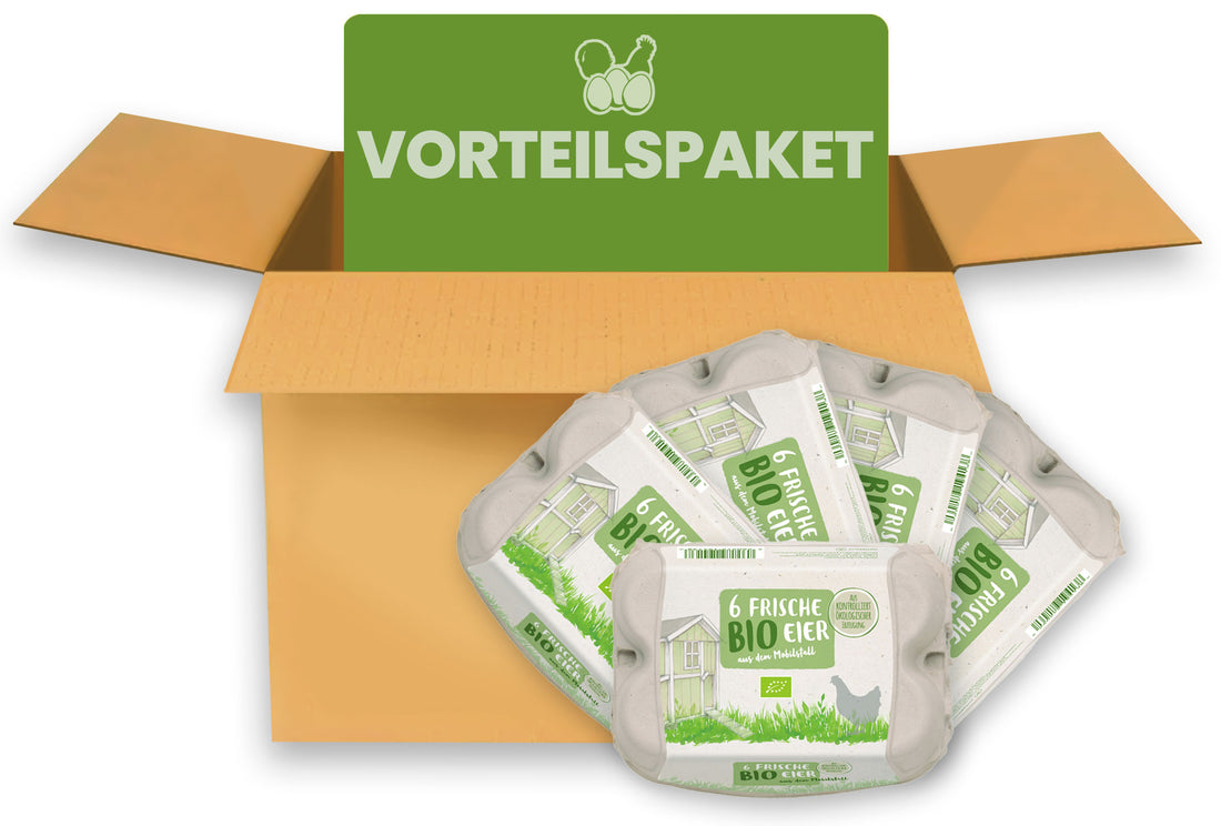 ComPac 6er Eierschachtel Bio-Mobilstall-Haltung 540 Stück Vorteilspaket