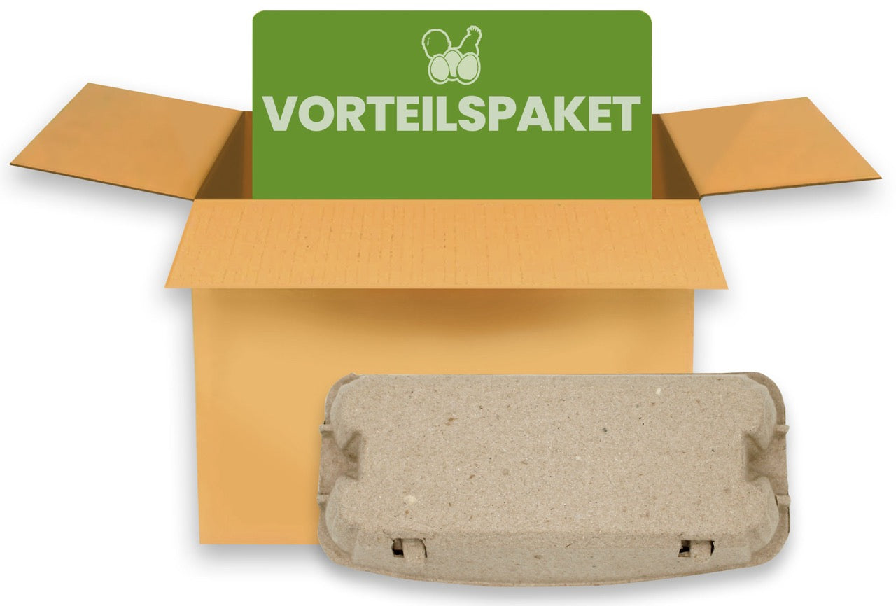 280 Stück 10er Eierschachteln EuroPack im Vorteilspaket