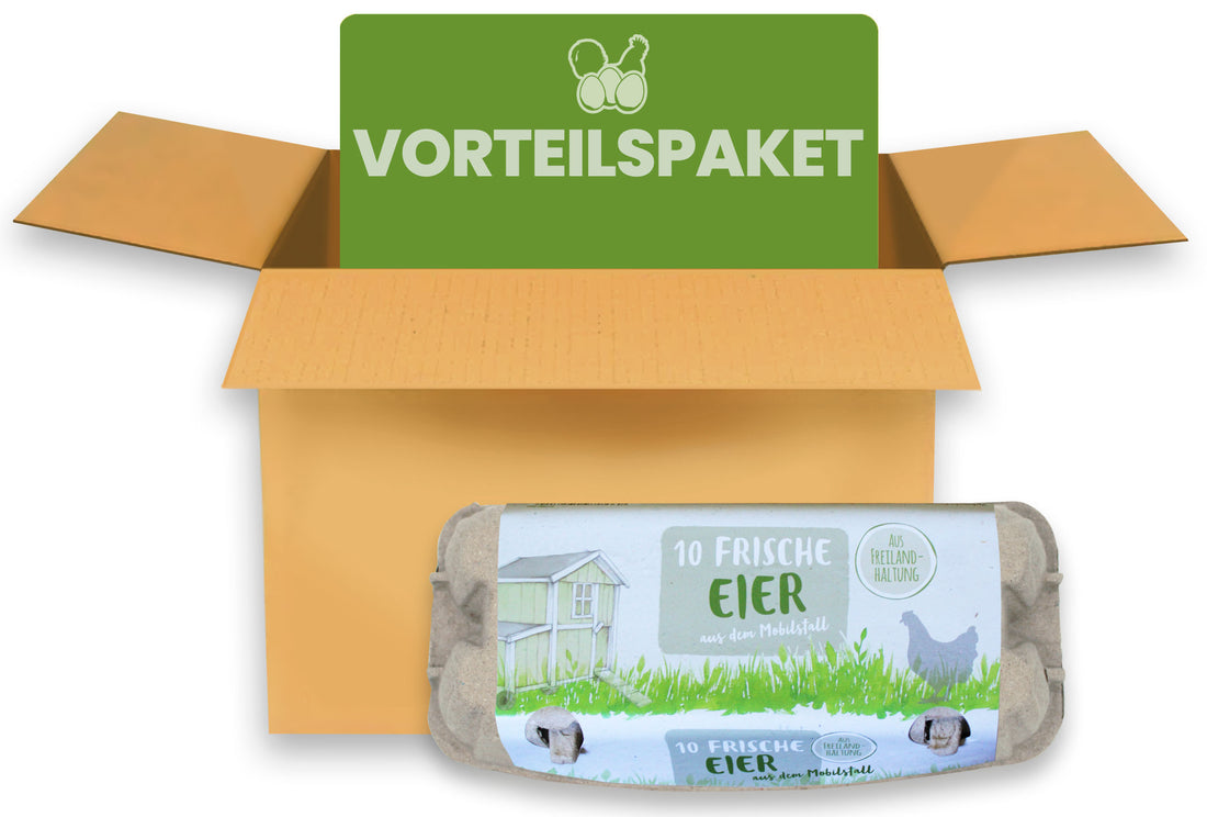 10er EuroPack mit Etikett "Frische Eier aus dem Mobilstall Freilandhaltung" mit Innendruck im Vorteilspaket