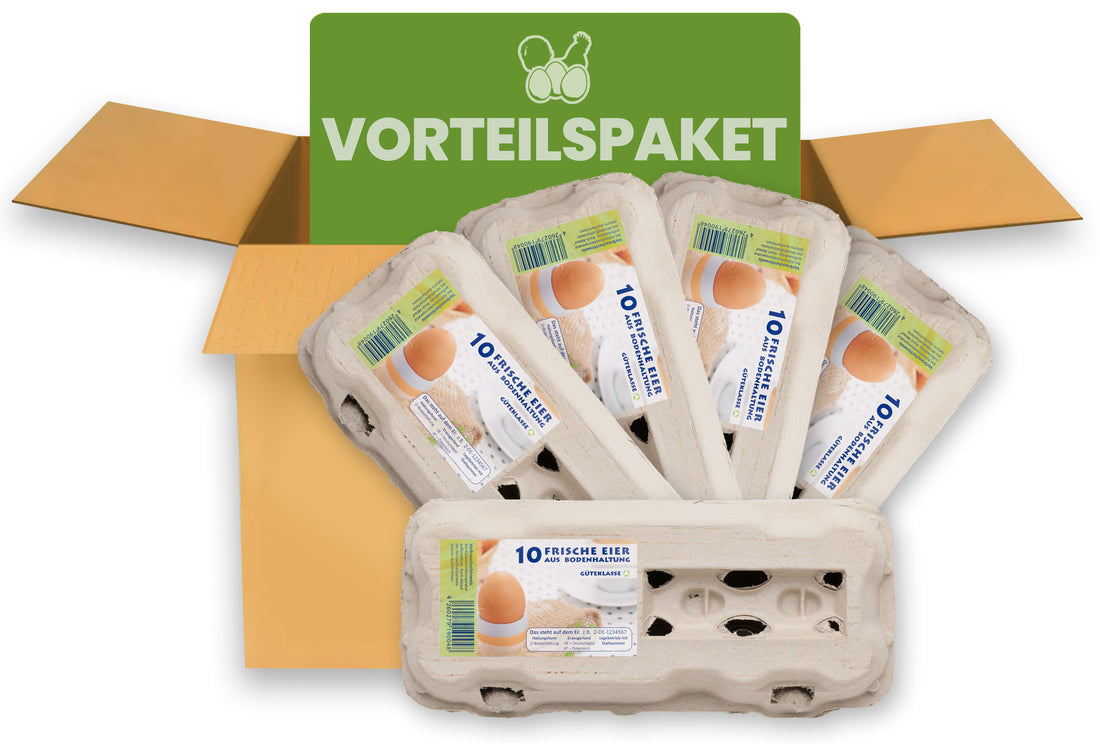 10er Eierschachteln TopView grau für Bodenhaltung im Vorteilspaket