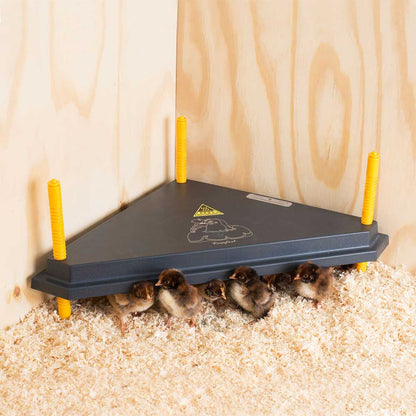 Kükenwärmeplatten Dreieck 30 / 40 cm – platzsparend für die Ecke