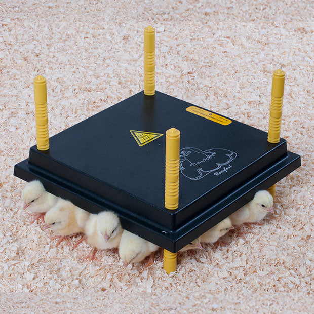 Kükenwärmeplatte 30 x 30 cm