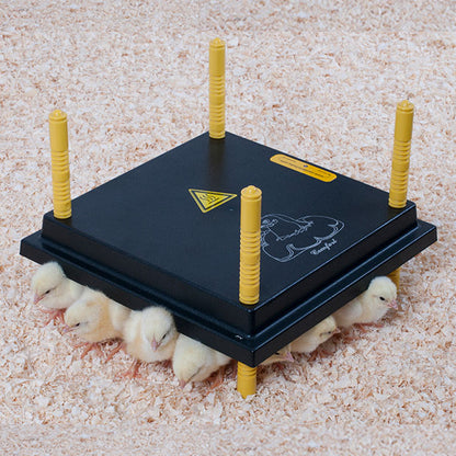 Kükenwärmeplatte 30 x 30 cm