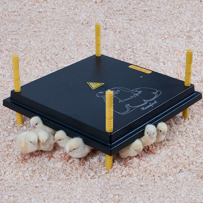 Kükenwärmeplatte 40 x 40 cm