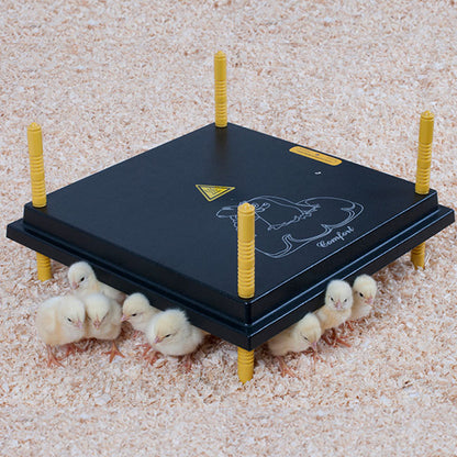 Kükenwärmeplatte 40 x 40 cm