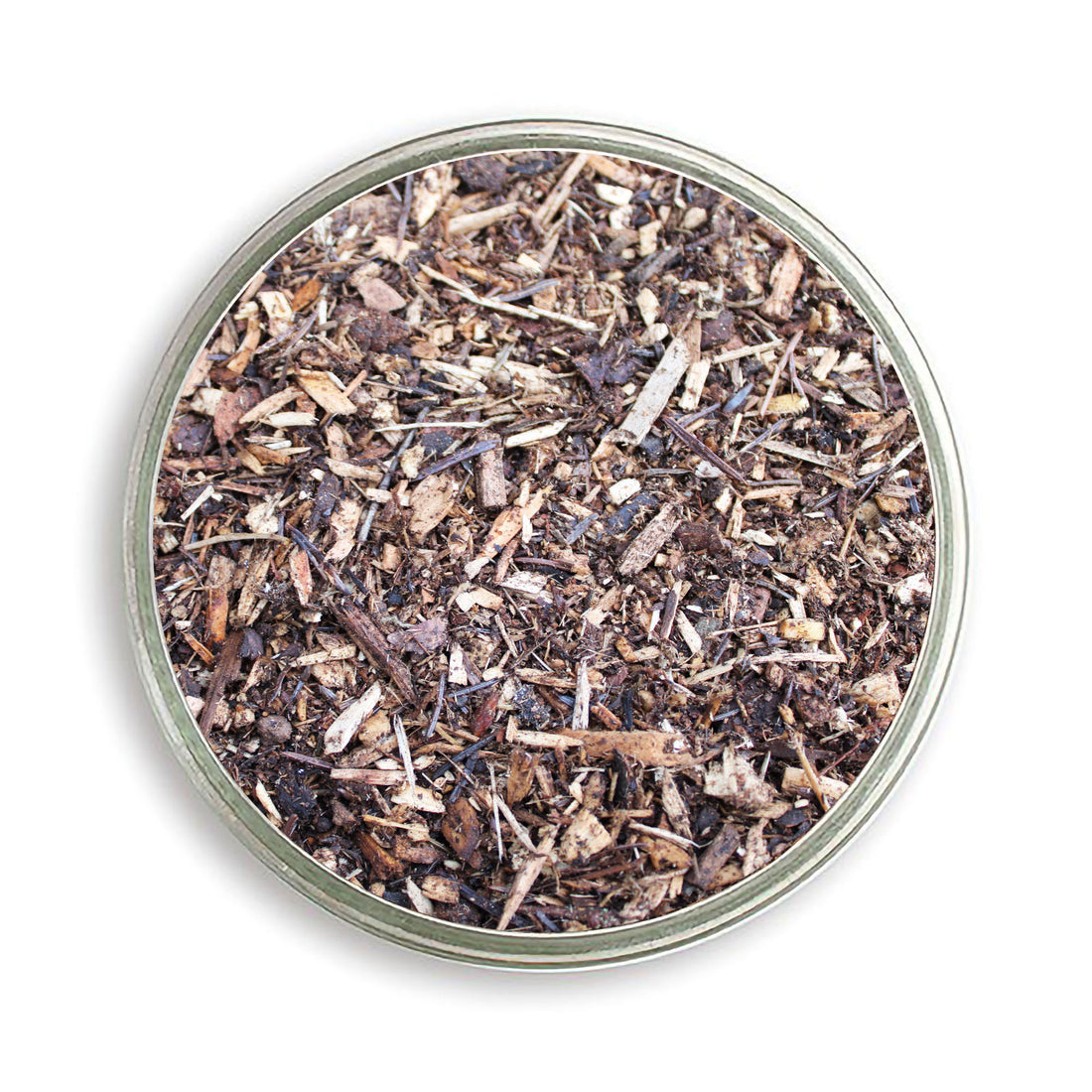 Waldbodeneinstreu Nahaufnahme Petrischale 