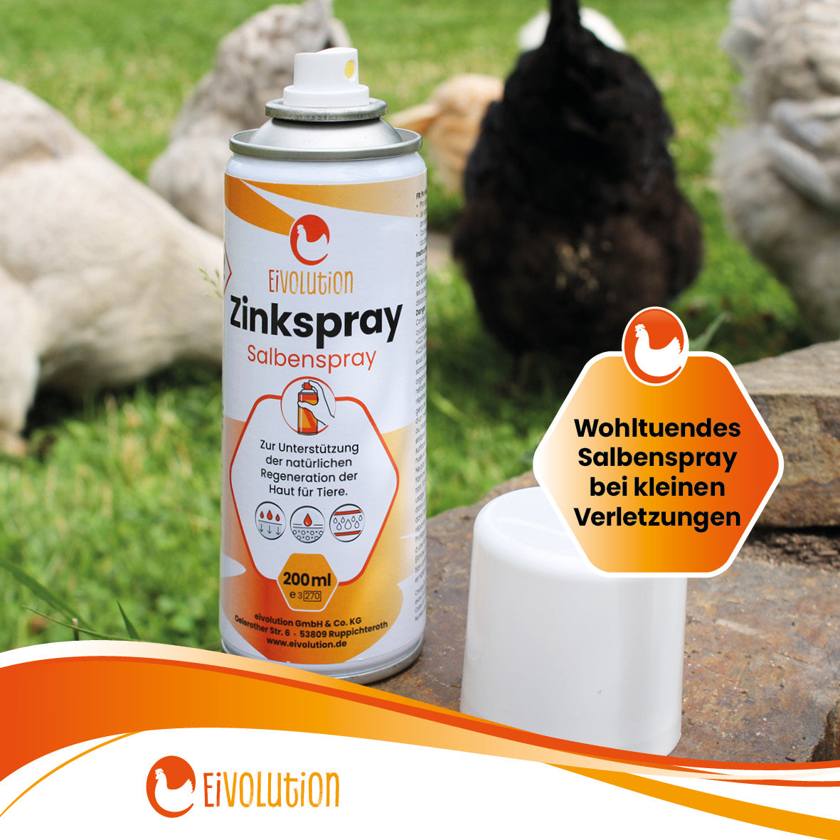 Zinkspray für Hühner u. a. Tiere "Wohltuendes Salbenspray bei kleinen Verletzungen" 