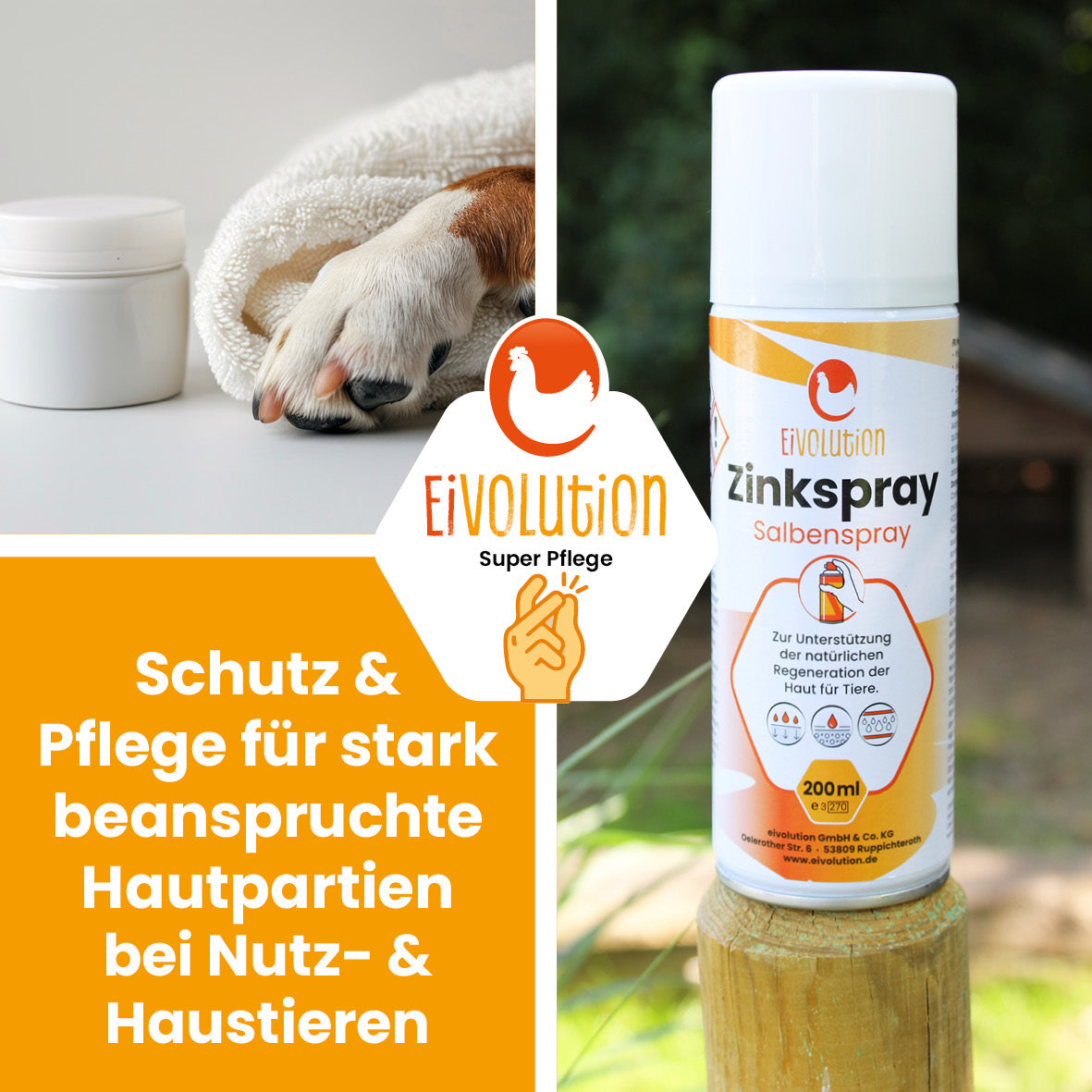Zinkspray für Hühner u. a. Tiere "Schutz &amp; Pflege für stark beanspruchte Hautpartien bei Nutz- &amp; Haustieren" 