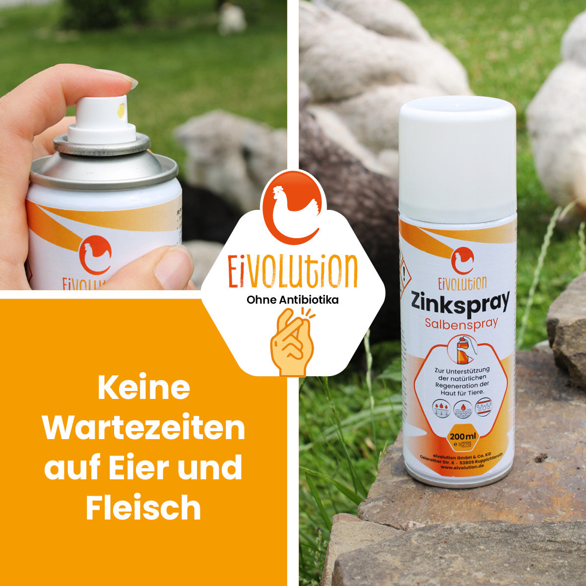 Zinkspray für Hühner u. a. Tiere "Keine Wartezeiten auf Eier und Fleisch" 