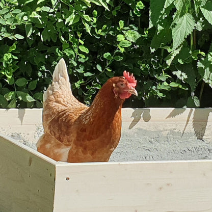 Hüfisan Geflügeleinstreu 25 kg, Anwendungsbild