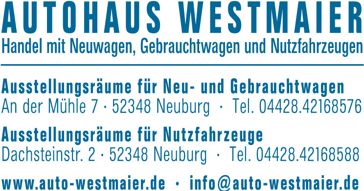 Bürostempel Modell 6 (63 x 33 mm), Beispiel blau