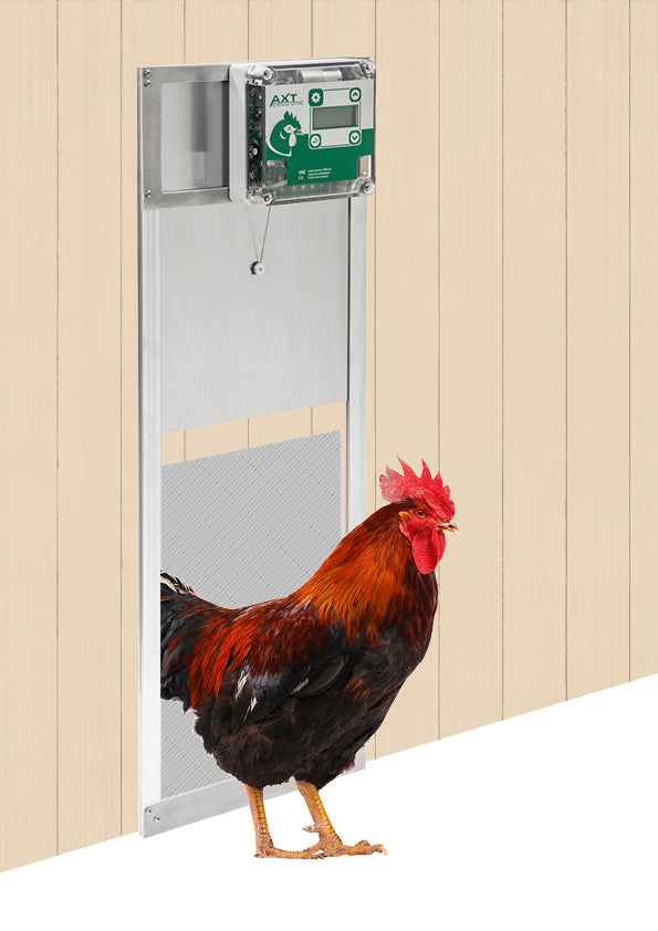 AXT VSE-Kompakt – Hühnerstallschieber mit fertig montierter Klappensteuerung, mit Huhn am Hühnerstall